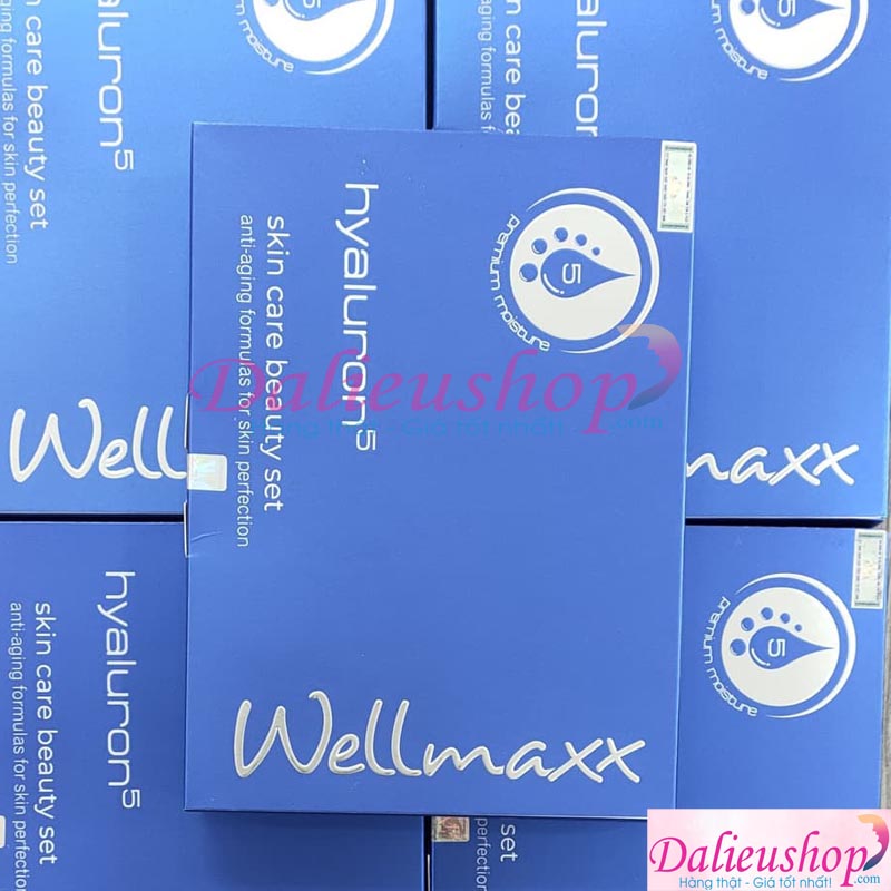 Bộ Sản Phẩm Dưỡng Ẩm Phục Hồi Da Wellmaxx Hyaluron5 Skin Care Beauty Set 