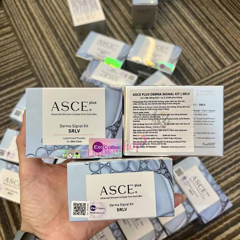Exosome Asce Plus Derma Signal Kit